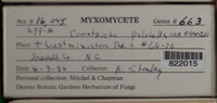 Image Associated With the Occurence